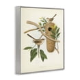 thumbnail image 3 of Stupell Industries Cottage Vintage Bird House Study Gray Framed Giclee Art, 11 x 14, by Tina Higgins Designs Inc., 3 of 8