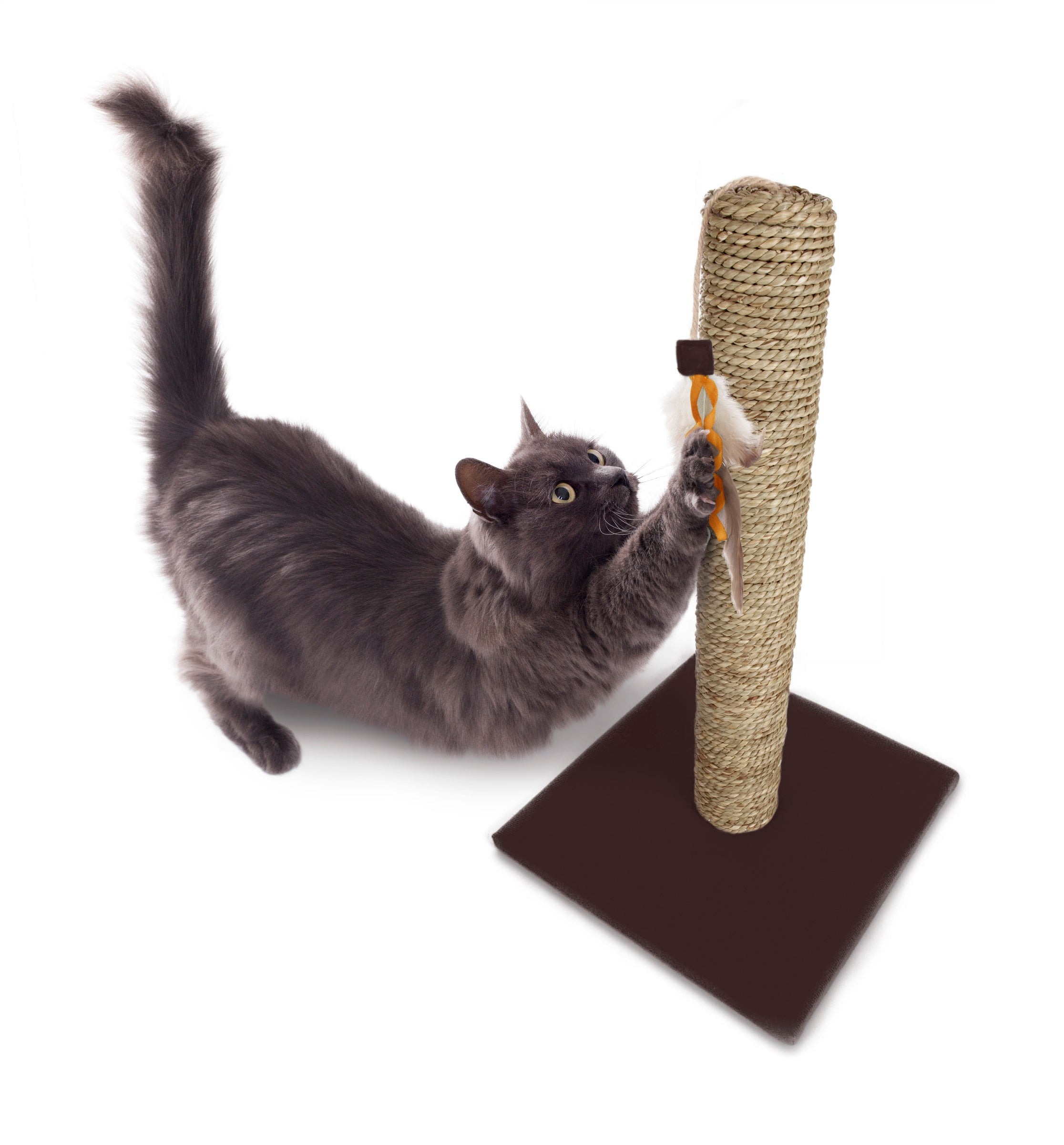 Simply Scratch Cat Scratch Post with Feather Cat Toy Seagrass