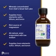 thumbnail image 3 of Premier Research Labs pH Minerals - Trace Minerals Drops - Supplement Rich in Ionic Minerals - For Tiredness & Fatigue - With Magnesium, Lithium & Boron - Vegan & Kosher - 2 fl oz, 3 of 6