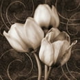 thumbnail image 2 of Zalewski, Christine 26x26 Black Ornate Wood Framed with Double Matting Museum Art Print Titled - Tulip and Swirls I, 2 of 4