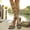 Green, variant on EliteGoogv Womens Gladiator Sandals Lace Up Flat Sandals High Ankle Wrap Sandals Open Toe Beach Shoes Breathable Casual Walking Shoes For Women Summer Footwear Green US :7