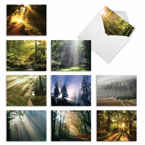 10 Assorted All Occasion Blank Note Cards with Envelopes (4 x 5.12 Inch) - SHINING THROUGH M1735BN