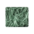 thumbnail image 2 of Soporte de pared para manguera de jardín | Organizador y solución de almacenamiento para mangueras de exterior | Sujeta y protege mangueras de jardín | Apto para uso doméstico y en jardín con césped, 2 of 4