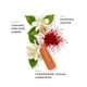 thumbnail image 3 of Perfume ETLEÉ Amber Bourbon Eau de Parfum, 10 ml, para mujeres y hombres, 3 of 8