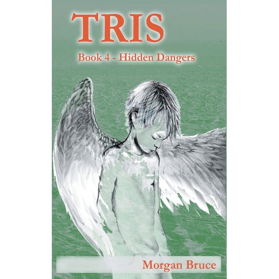 Tris Tris 4: Hidden Dangers, Book 4, (Hardcover)