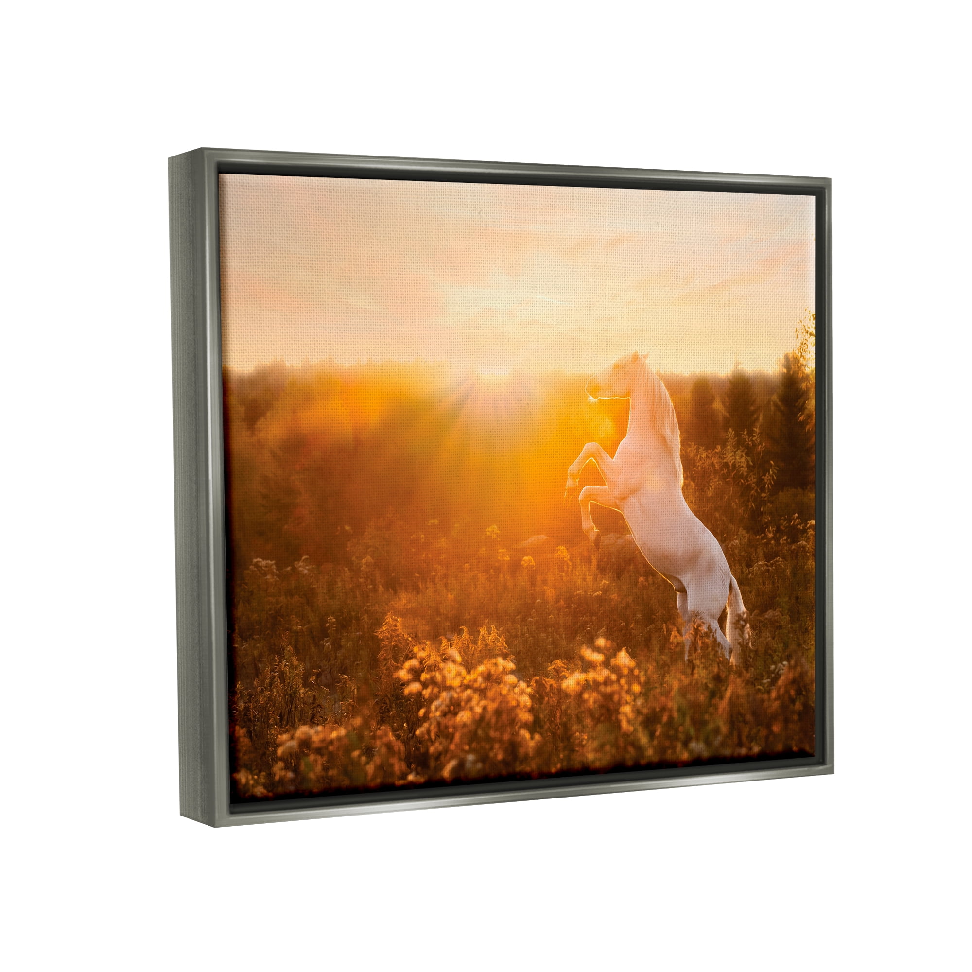 Stupell Industries Standing Horse in Rising Sun Landscape Photography Gray Floater Framed Canvas Art Print Wall Art, 21 x 17
