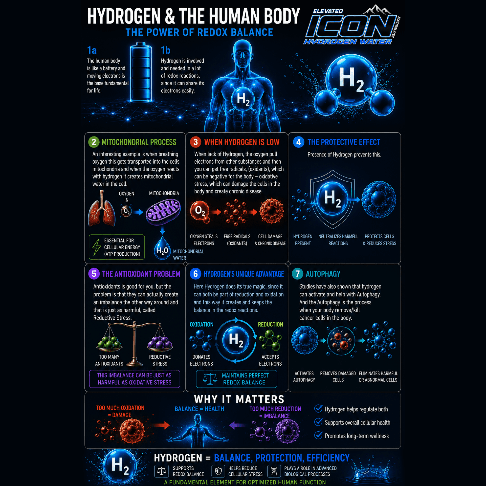 Elevated ICON Hydrogen Water 12pk