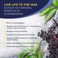 thumbnail image 2 of MaxImmunity Organic Elderberry Syrup, 30 Day Supply, Black Elderberry Liquid for Immune Support, Sambucus Elderberry Syrup - Liquid Extract Drops for Kids & Adults - Extra Strength (1 Pack), 2 of 4