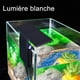 thumbnail image 4 of ZHAOCHENG GROOFOO X3 - Luz LED de alto brillo para acuario (220 V, 6 W, 600 lm, 3 unidades) para acuarios de 8 a 15 pulgadas, 4 of 5