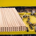 thumbnail image 4 of OULII 50Pack Bee Houses Tubes Bamboo for Balcony Use, 4 of 4