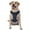 With Accessories, variant on Vsdgher Nautical Themed Simple Anchors Pattern Dog Harness,No Pull Pet Harness with Soft Padded Handle,Adjustable Reflective Vest with 2 Buckles,4 Slide Buckles,S-XL