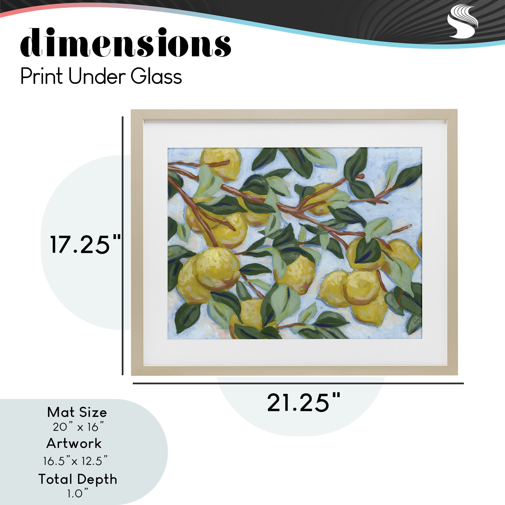 Stupell Industries Sunshine Citrus Tree Birch Framed Print Under Glass, design by June Erica Vess