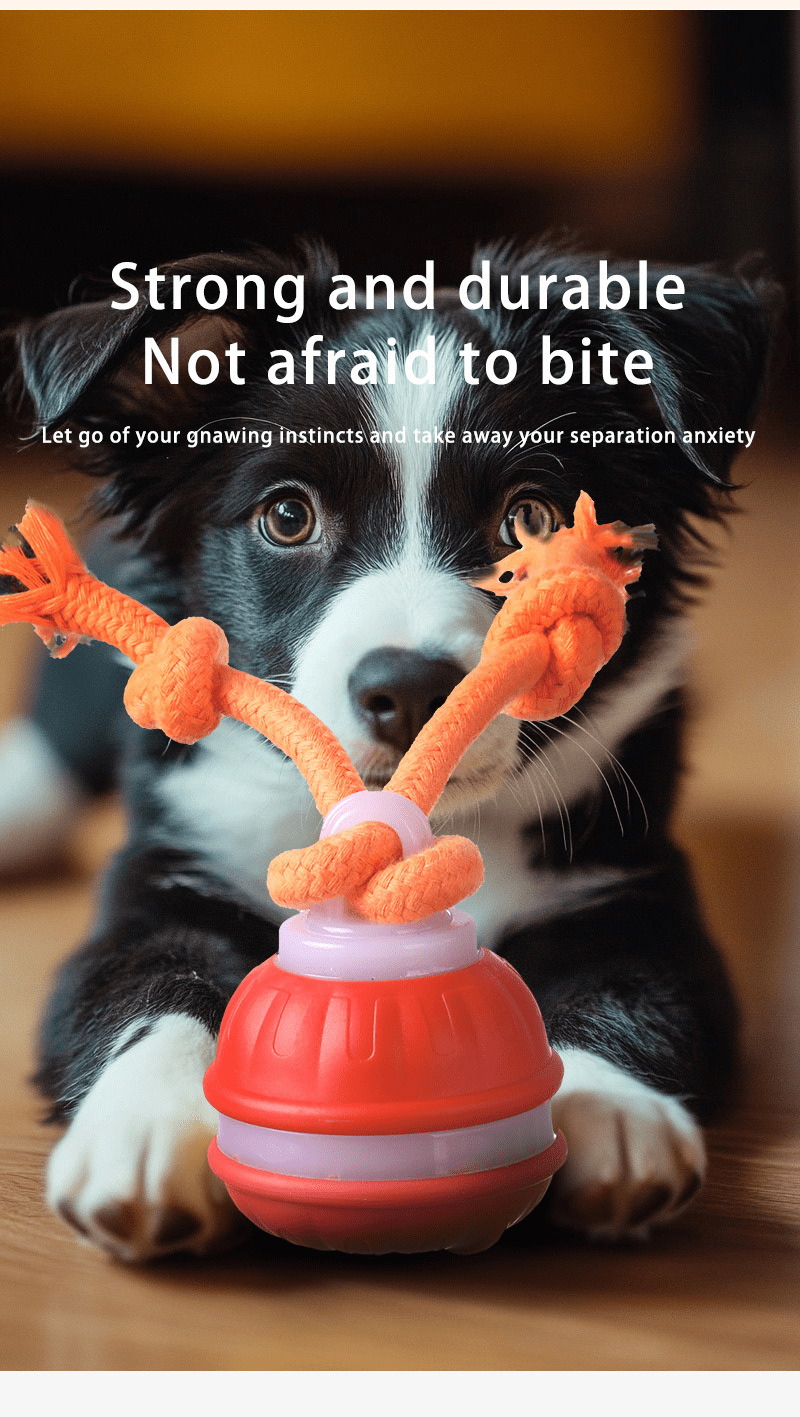 Interactive Dog Toys Ball, Fun Moving Motion Activated Dog Ball Toys to Keep Them Busy, Rechargeable Smart Automatic Rolling Dog Ball for Small Puppy Dogs