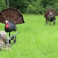 Primos Chicken on a Stick 69067 Turkey Decoy