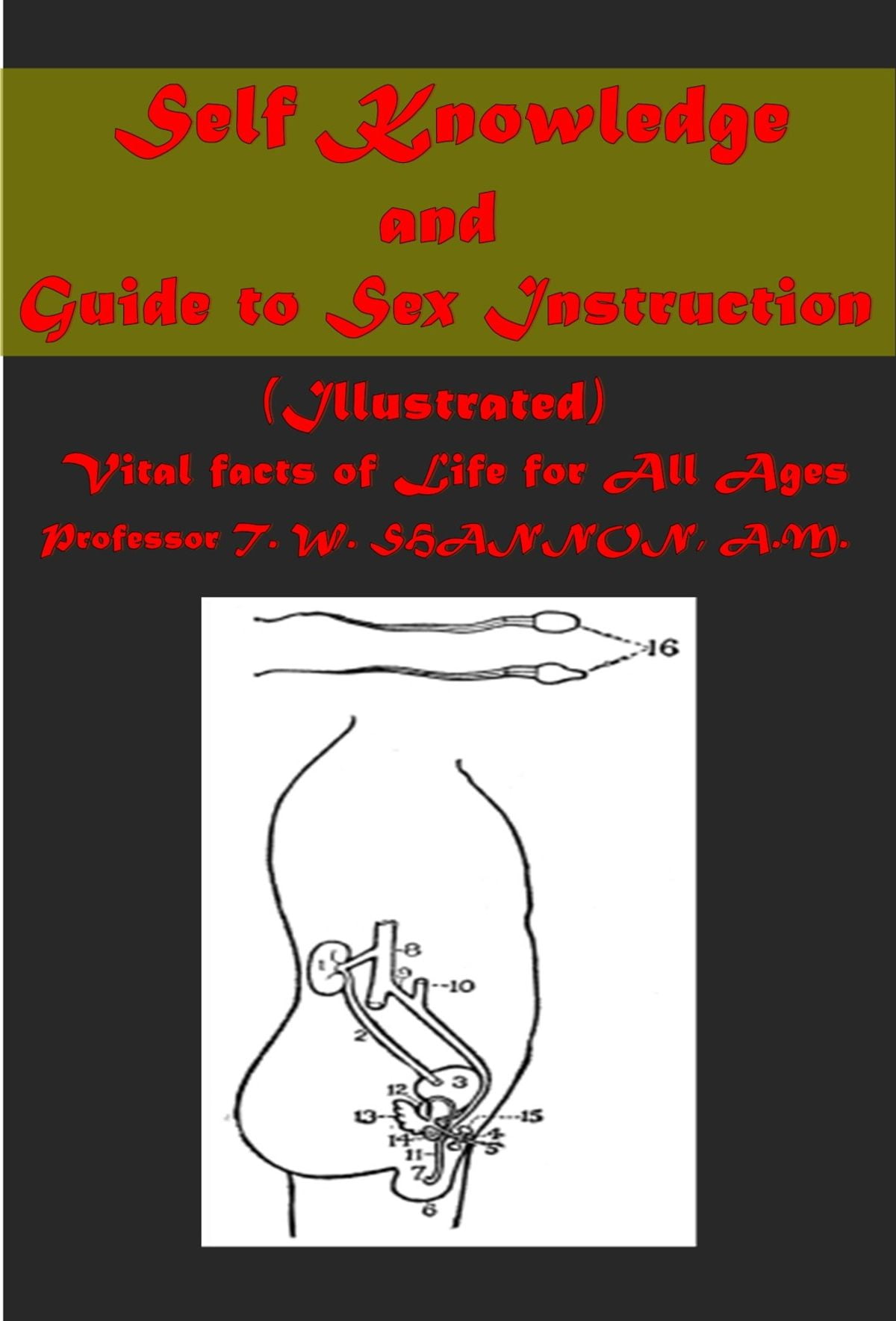 Self Knowledge And Guide To Sex Instruction Illustrated Ebook