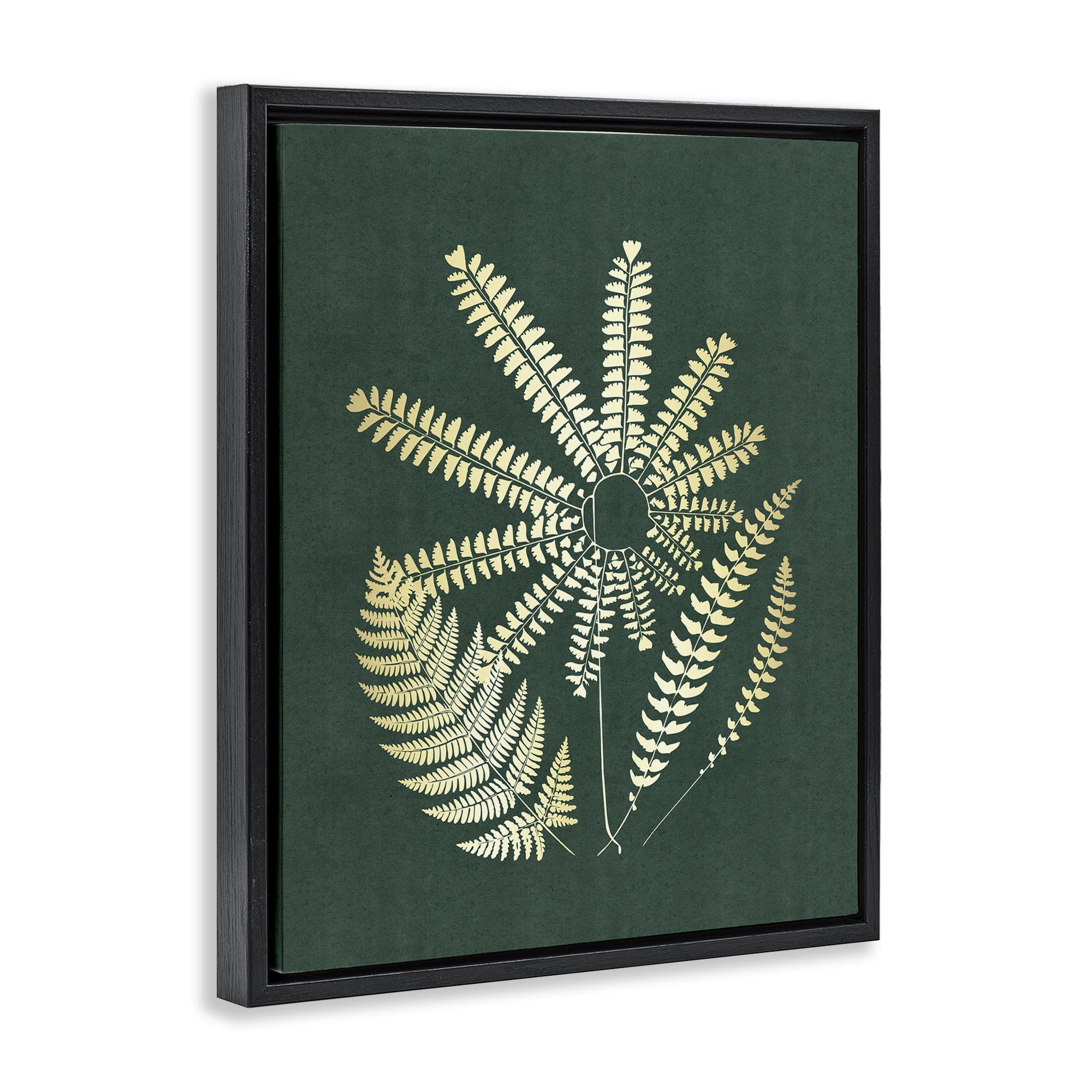 Stupell Industries Fern Sprigs Flower Shape Plants & Flowers Painting Black Floater Framed Canvas Art Print Wall Art, 25 x 31