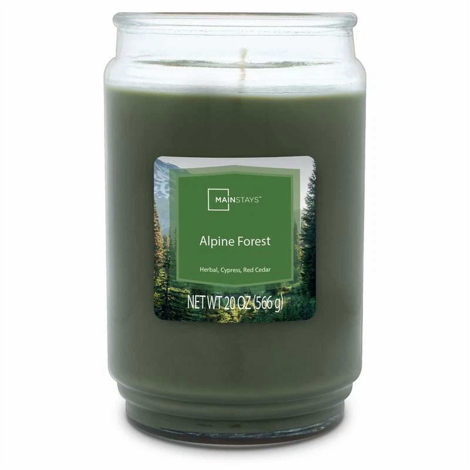 Alpine Forest Scented Candle Clean Burn Fresh Aroma Decorative Jar 20Oz New