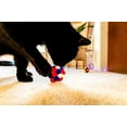 thumbnail image 6 of Vibrant Life Pom Pom Cat Toy, Red, White & Blue, 6 of 9