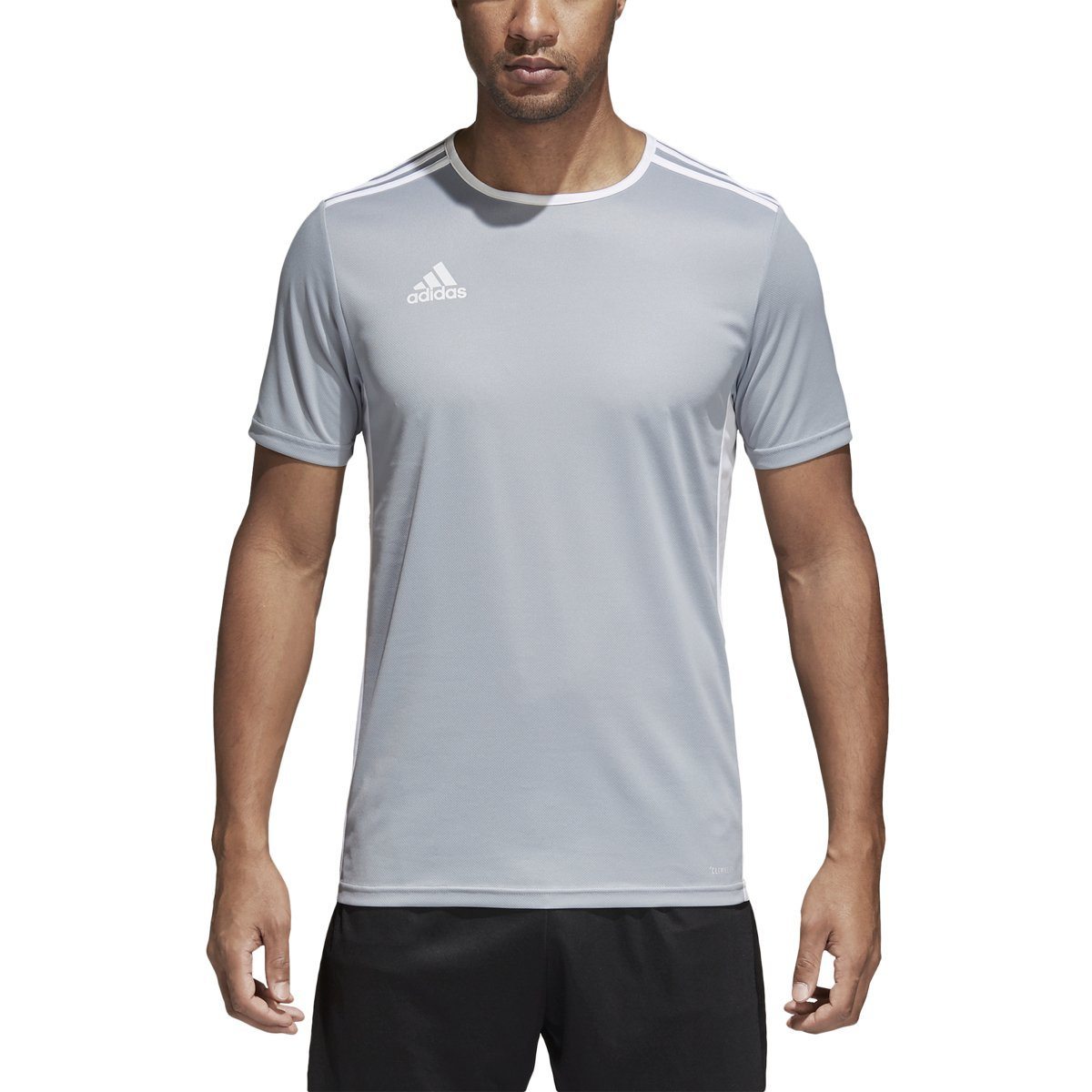 adidas men's entrada 18 jersey