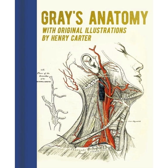 Arcturus Gilded Classics Gray's Anatomy: With Original Illustrations by Henry Carter, (Hardcover)