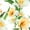 Flower 10, variant on TalkingCase Slim Fit Phone Case Compatible for Samsung Galaxy S25(Not S25 Plus/Ultra), Flower 1 Print, Lightweight,Flexible, USA Print