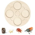thumbnail image 1 of CNKOO Simulation d'Insectes en Plastique Modèle Préscolaire Miniature Jouet Éducatif pour Enfants, 1 of 9