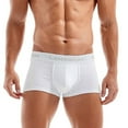 thumbnail image 2 of Sngxgn Men's Briefs, Soft and Breathable Underwear with ComfortFlex Waistband(White,M), 2 of 6
