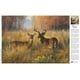 thumbnail image 5 of Puzles Abraham Hunter Proud de Buffalo Games de 300 piezas, 54 x 38 cm, 5 of 8