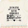 thumbnail image 4 of Inktastic So I'm Little, but I'm Gonna Be a Big Sister Girls Toddler Dress, 4 of 5