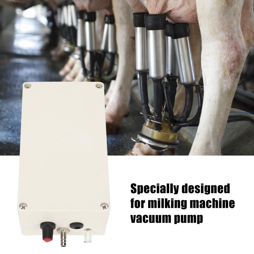12V Electric Milking Machine Accessory Vacuum Pump For Donkey Sheep Cow Horse BS 