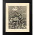 thumbnail image 2 of Specht, Friedrich 20x23 Black Modern Framed Museum Art Print Titled - Vintage Roe Deer II, 2 of 5
