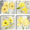 Yellow White Grey