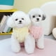 thumbnail image 4 of Ropa para mascotas Ropa para perros Otoño e invierno Ropa para mascotas de invierno para gatos de peluche Bola de pelo Polar de dos patas, 4 of 6