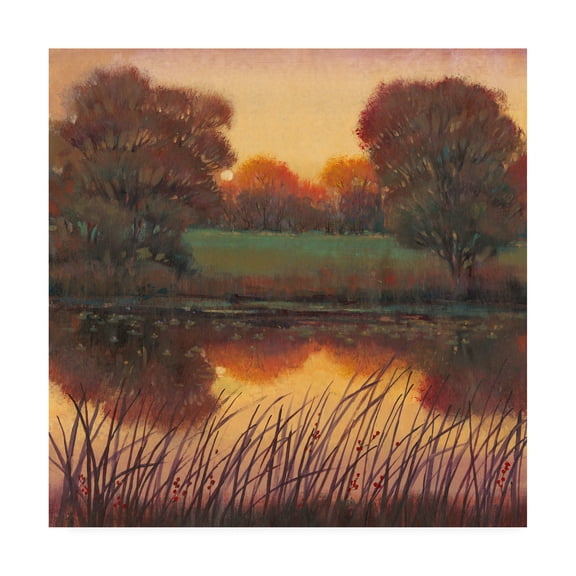 Trademark Fine Art 'Early Evening I Autumn' Canvas Art by Tim OToole