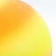 thumbnail image 2 of Balle de Terrain de Jeu Balles Gonflables Rebondissantes pour Enfants Jeux Intérieurs Extérieurs Kickballs Dodgeball Handball, 2 of 6