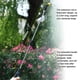 thumbnail image 4 of Rociador de hombro recargable de 5L, rociador eléctrico de mano, herramientas agrícolas, regadera, Abanopi Lata de aspersión, 4 of 7