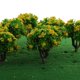 thumbnail image 5 of 10 Piezas Modelo de árboles de Flores de Paisaje Escenario 1: 200 Z Amarillo, 5 of 9