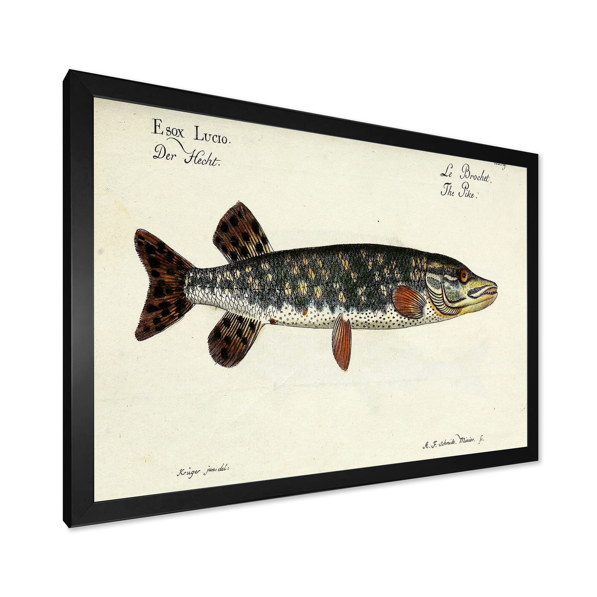 Designart 'Portrait Of A Green Fish On Beige' Nautical & Coastal Framed Art Print