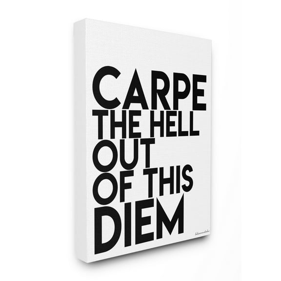 The Stupell Home Decor Collection lulusimonSTUDIO Black and White Carpe Hell Out Of This Diem Typography Stretched Canvas Wall Art, 16 x 1.5 x 20