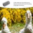 thumbnail image 4 of Chicken Wire Fencing Poultry Wire Mesh Fence Yard Garden Crafting Decor, 4 of 8
