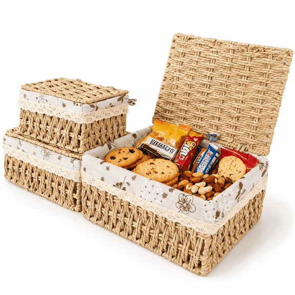 MEHOOM Small Wicker Storage Baskets with Lids, Set of 3 Handwoven Paper Rope Decorative Baskets with Washable Cotton Liners for Shelves and Tabletops, Beige