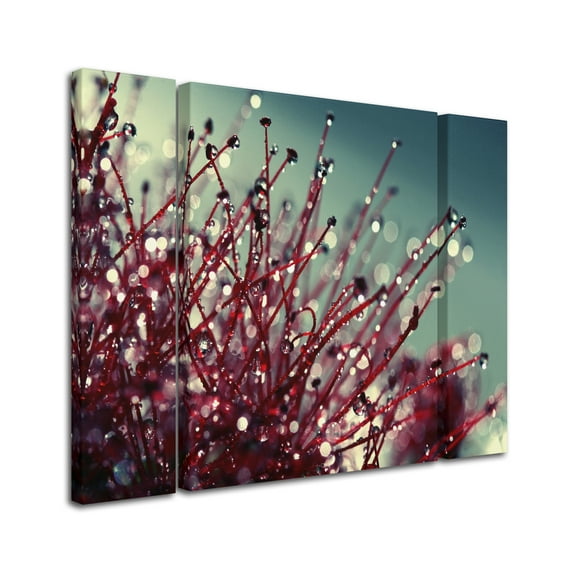 Beata Czyzowska Young 'For You and Me' Multi Panel Art Set Large