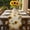 yellow, variant on Yellow Sunflowers Table Runner - 36 Inch Long, Kitchen Dining Table Runner Dresser Scarves, Summer Farmhouse Retro Beige Farmhouse Decor for Coffee Tables Wedding Party Banquet