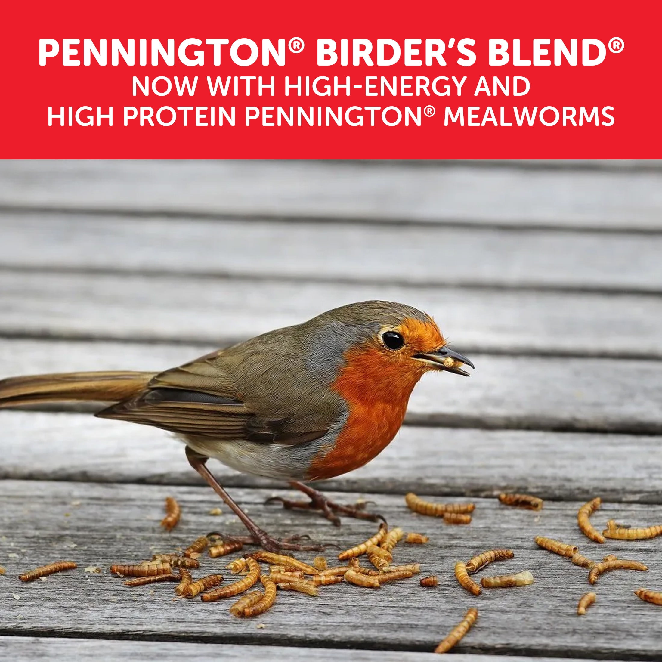 (4 pack) Pennington Recipe Selects Birder's Mealworm Blend, Dry Wild Bird Seed and Feed, 10 lb. Bag, 1 Pack