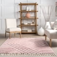 thumbnail image 5 of nuLOOM Risette Geometric Shag Tassel Area Rug, 4' x 6', Pink, 5 of 9
