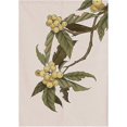 thumbnail image 1 of Noren Doorway Curtain Tapestry Traditional Chinese Loquat Ink Painting Printed Door Curtain Watercolor Room Divider Home Decoration, 29.5 X 47 Inch, 1 of 4