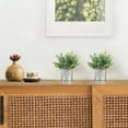 thumbnail image 6 of 2 Packs Small Fake Plants in Farmhouse Galvanized Pots Table Centerpiece Mini Faux Eucalyptus Potted Artificial Plants, 6 of 6