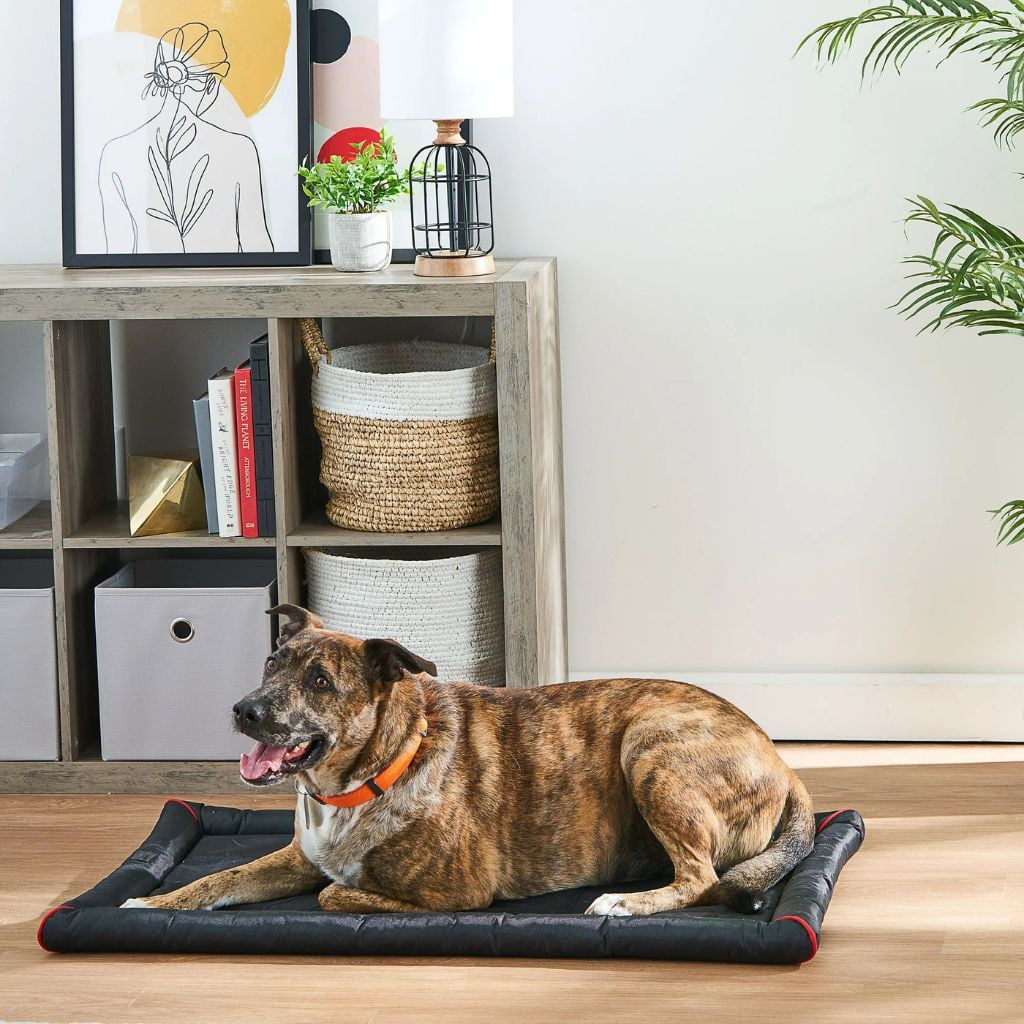 Water-Resistant Dog Crate Mat Cushion Bed, Black, 35"