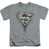 Superman Many Super Skulls Little Boys Juvy Shirt