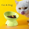 thumbnail image 3 of Ceramic Cat Feeding Bowl, Raised Cat Bowl, Ceramic Cat Bowls for Food and Water, for Cats, Puppies and Small Dogs, Pet Bowl (Grey) gray, 3 of 4